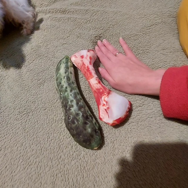 Catnip Simulation Toys for Cats