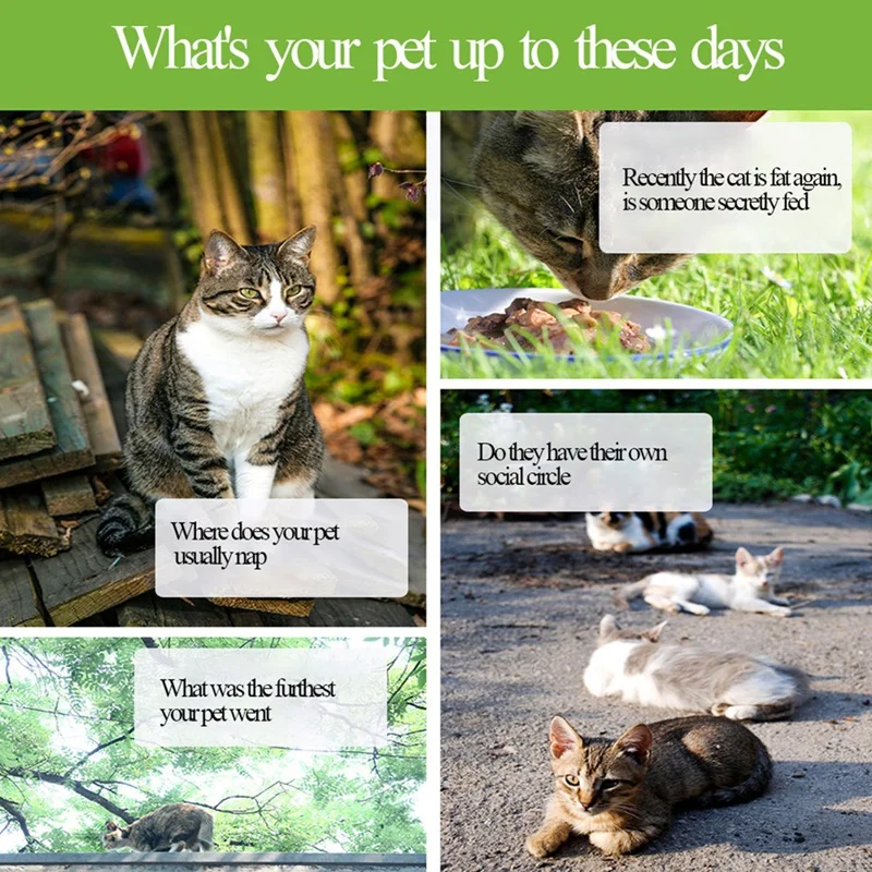 Gps tracker gps locator gps car tracker Mini GPS data logger waterproof GPS tracker logger for cat dog pet sport hiking traveler mapping survey navigation