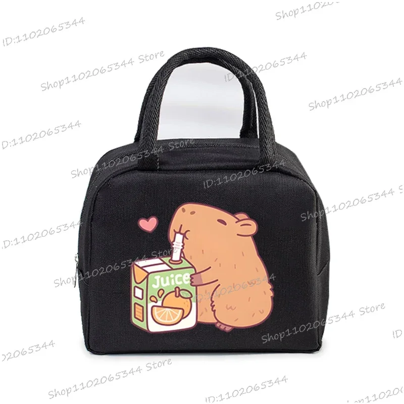 Insulated Lunch Bags Women Kids Cartoon Thermal Tote Bags Picnic Food Preservation Box lunch bag bento bag cooler bag
