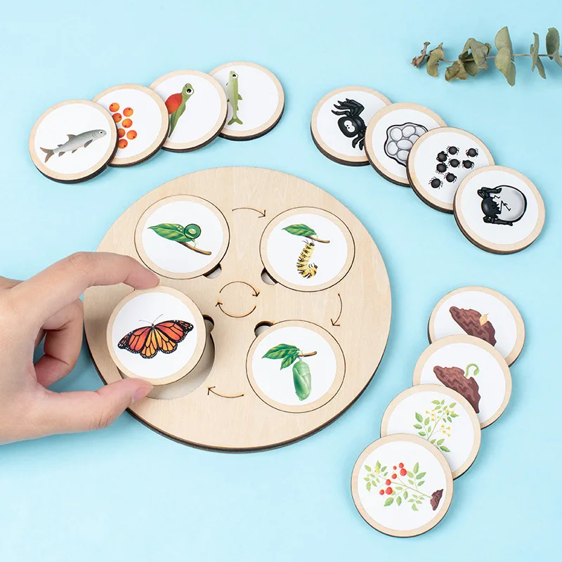 Life Cycle Board Montessori Kit Biology Science Education Toys For Kids Sensory Tray Animal Figure Life Cycle Sorting Wooden Toy 3