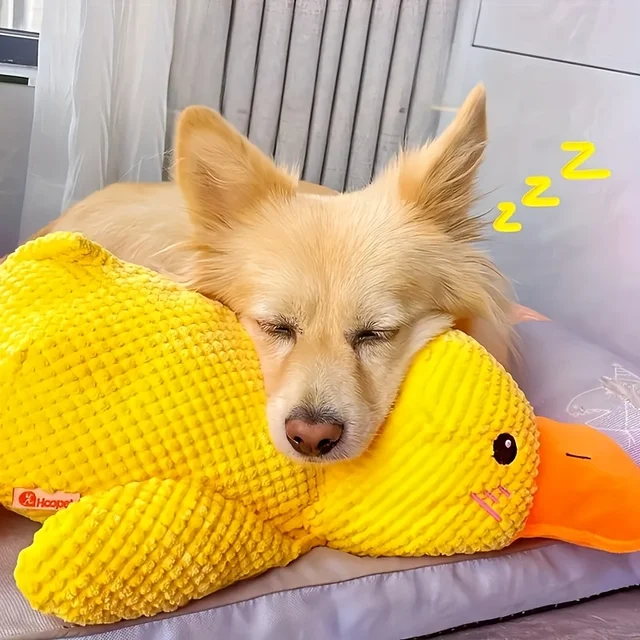 Durable Plush Durable Plush Squeaky Dog Toy | For All Dog Breeds | Plush | Squeaky, Chew Resistant, Interactive | Pet Toy Durable Plush Durable Plush Squeaky Dog Toy | For All Dog Breeds | Plush | Squeaky, Chew Resistant, Interactive | Pet Toy