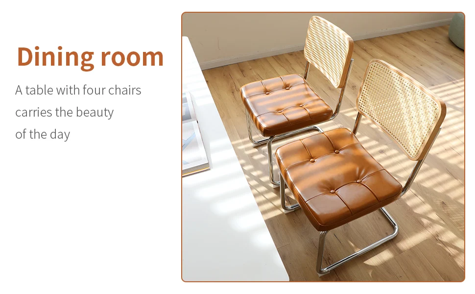 morden leather rattan side accent chairs dining chair set of 2 with chrome legs 