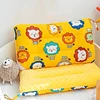 Double-sided Use Four Seasons Children's Pillow Cotton Washable Baby Small Pillow Kindergarten Student Breathable Nap Pillow 2