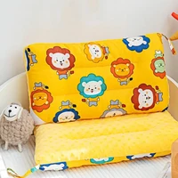 Double-sided Use Four Seasons Children's Pillow Cotton Washable Baby Small Pillow Kindergarten Student Breathable Nap Pillow 2