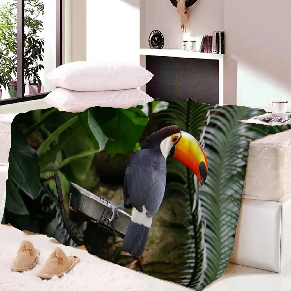 ������Ʈ �ö��� ���ο� ���, ������ �ö��� ��ȣ ���, �÷��� ����, ħ�� �����, �ʴ� ����, ���� ȣ�� ���Ŀ� ����