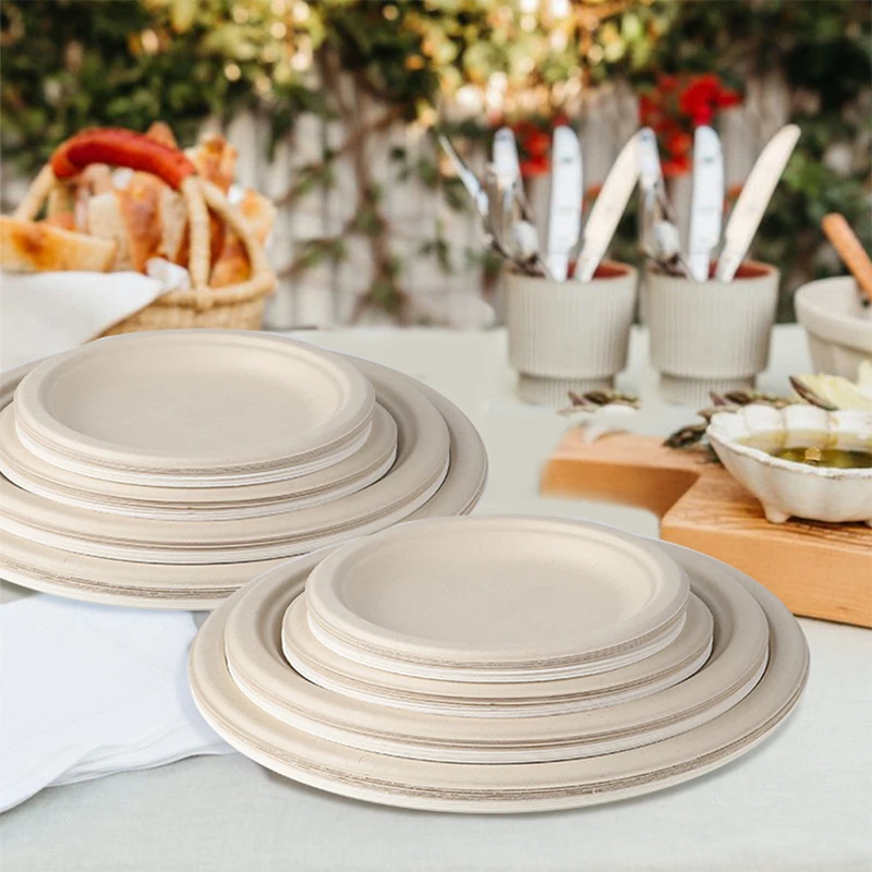 Disposable Biodegradable Disposable Plates  Biodegradable Paper Plates - 9  Inch - Aliexpress