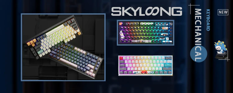 SKYLOONG GK61 QMK/VIA 有線キーボード USB-C 接続 60% レイアウト