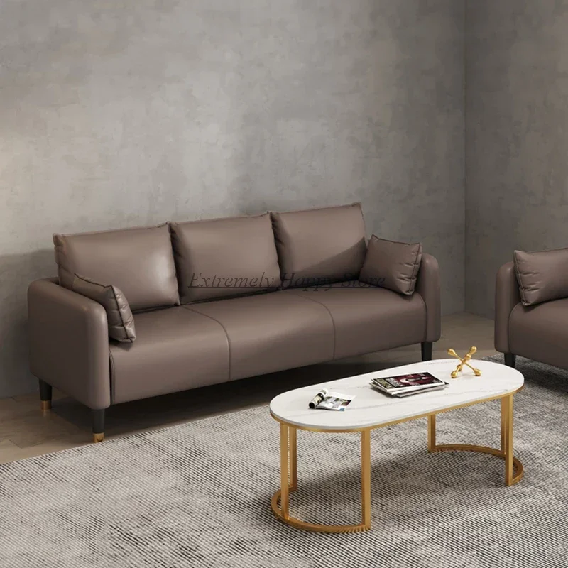 

Scratcher Cats Leather Living Room Sofa Small Nordic Luxury Simple Sofas Modern Armchair Mobili Per La Casa Prefabricated House