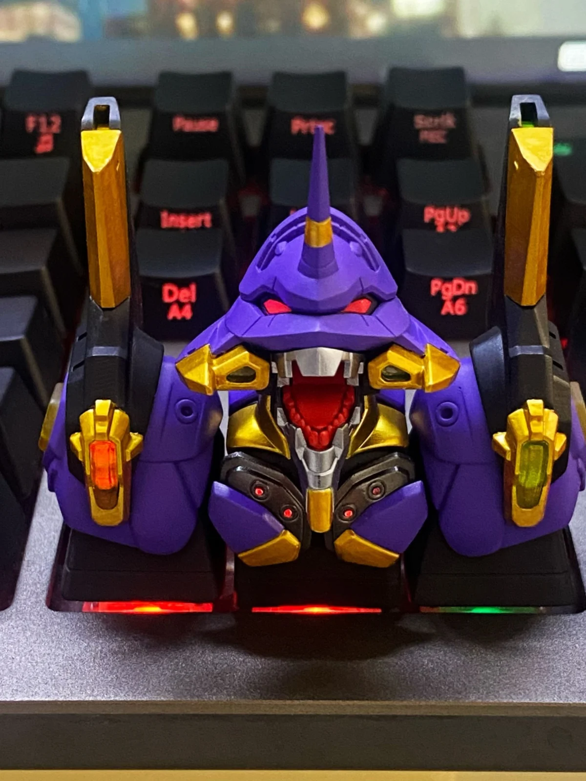 dsc-products