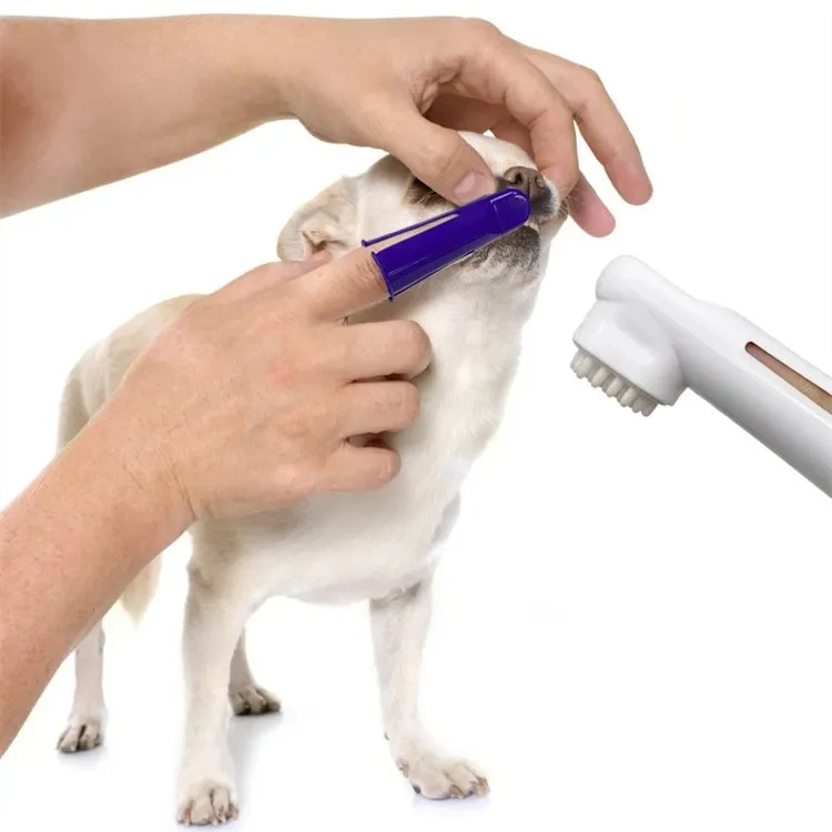 Pet Toothbrush Toothpaste Set Dog Cat Dental Oral Cleaner Puppy Kitten Gel Toothpaste Cleaning Tooth Set Pet Grooming pet toothbrush set
