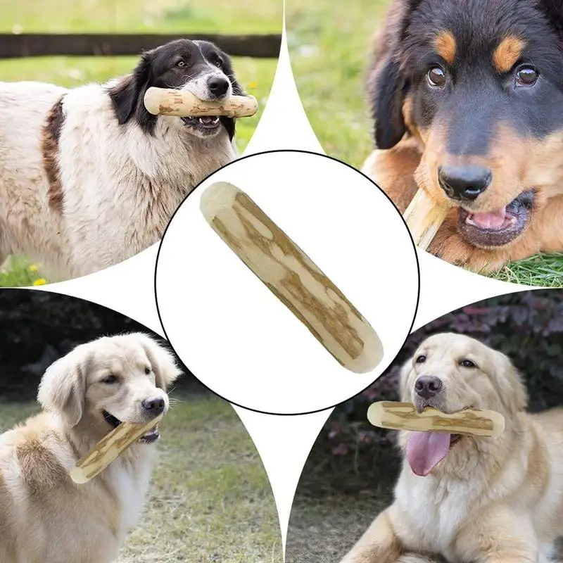 Koffiehouten kauwstok voor honden, veilig voor de tanden, natuurlijk speeltje voor puppy's, kauwspeelgoed voor honden, voor het ontwikkelen van de kauwspieren. 15 Koffiehouten kauwstok voor honden, veilig voor de tanden, natuurlijk speeltje voor puppy's, kauwspeelgoed voor honden, voor het ontwikkelen van de kauwspieren. 15