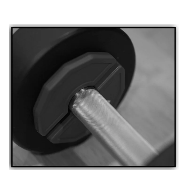 Gym Micro Plates Dumbbell Fractional Weight Plate Rubber Fractional Weight Plates Add-Onchange 0.25Kg