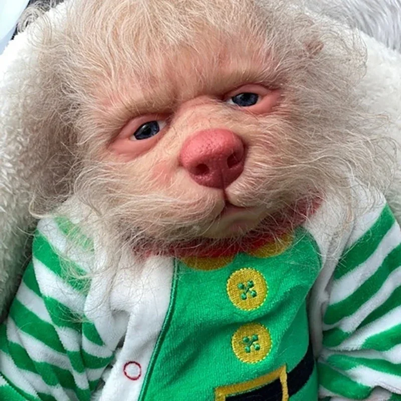 

Lucian 20inch DIY Reborn Doll kit Lucian The Hybrid Unfinished Doll Parts ELF