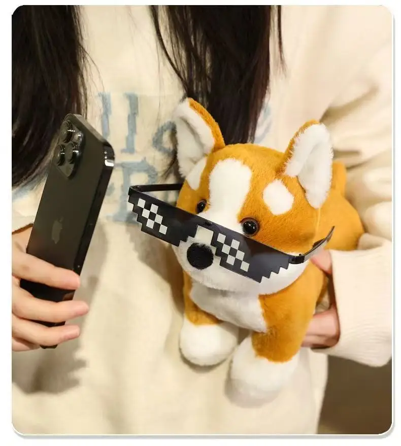 S9299f5d42e1d4c8a8c45c399c5e5ca49M - Corgi Gifts