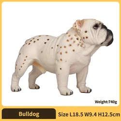 Realistic Dog Figurine Action Figure - Collectible Decorative Ornament, Ideal Gift (Bulldog)