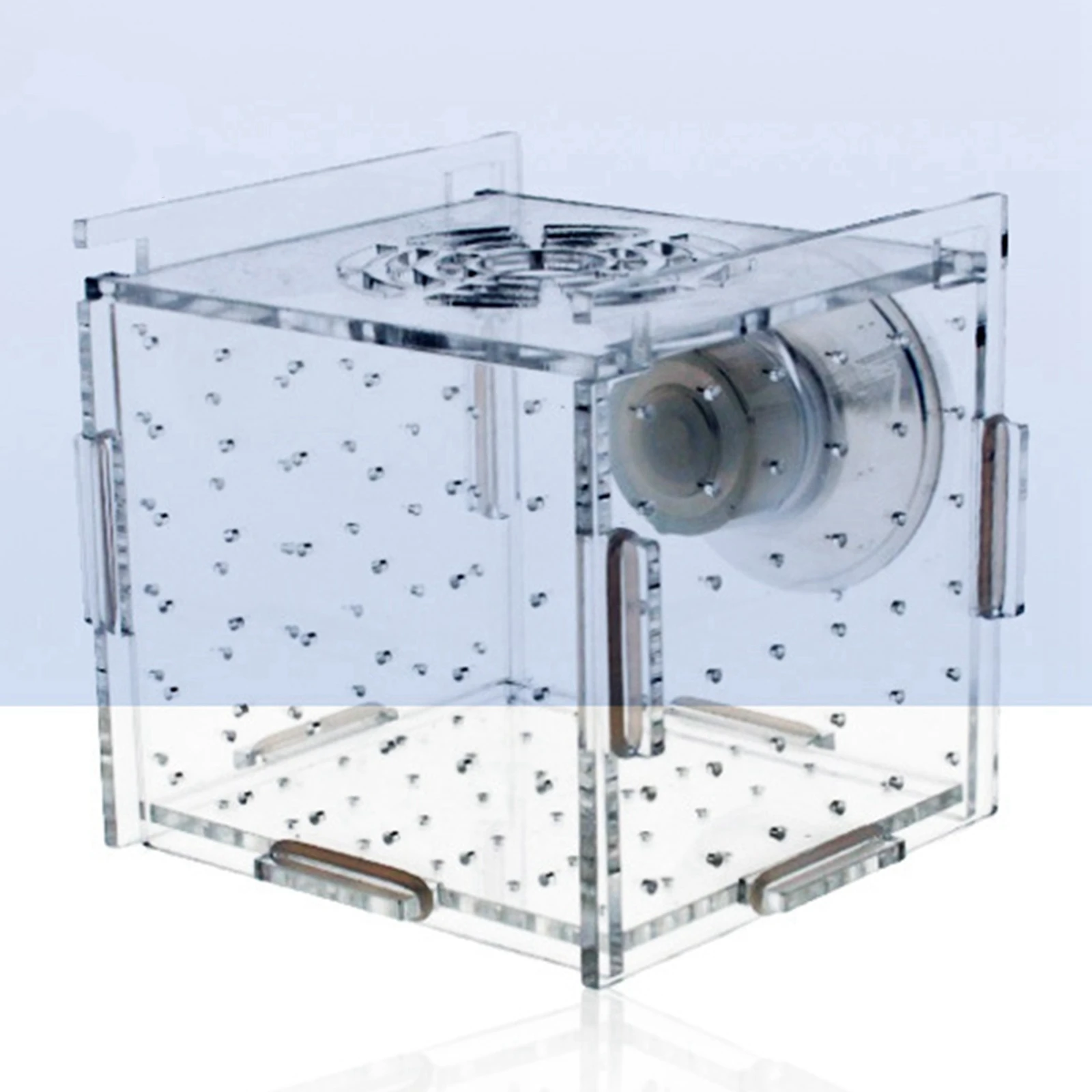Fish Breeder Box Clear Acrylic Aquarium Accessory for Clownfish Aggressive Fish Baby Prawn Shrimp Guppy fish breeding box
