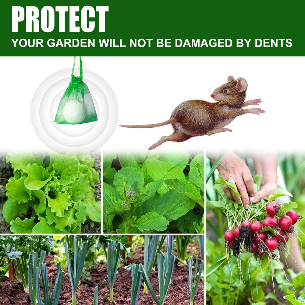 Rat Repellent Peppermint Oil Rat Repellent Set 8Pcs Pure Plant Essential Oil Sets for Outdoor Indoor Pest Insect Control