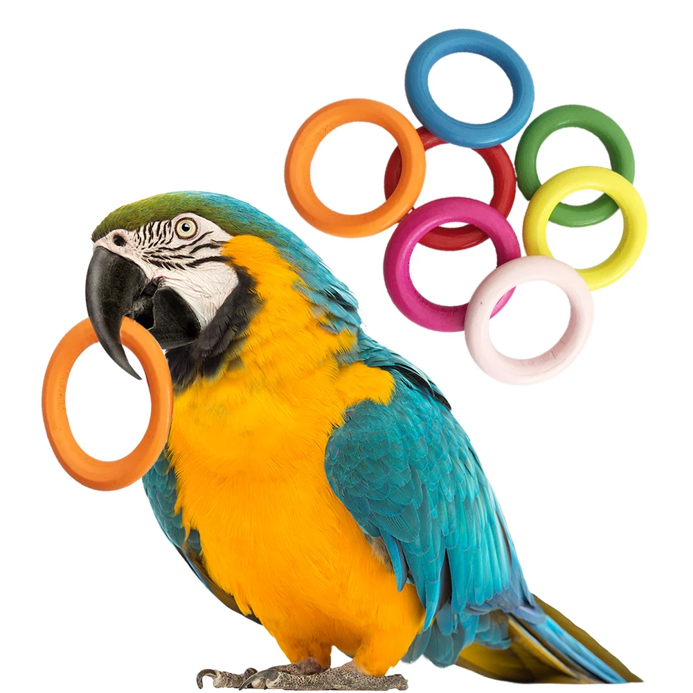10Pcs Pet Bird Parrot Intelligence Toys Natural Wooden Ring Parrot Training Toy Chew Bite Toys For Budgies Parakeet Growth Toy 3