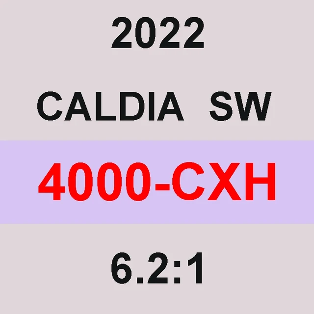 2022 NEW Original DAIWA CALDIA SW Spinning Fishing Reel 4000 5000D