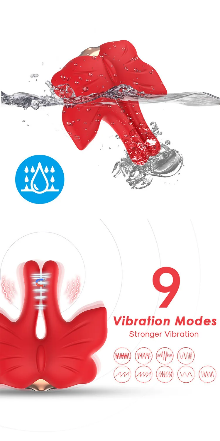 V49-详情页_01.jpg
