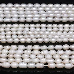 AAA White Pearl Beads Natural Freshwater Pearls for Necklace Bracelet Jewelry Making DIY Accessories Gift Size 6-7mm