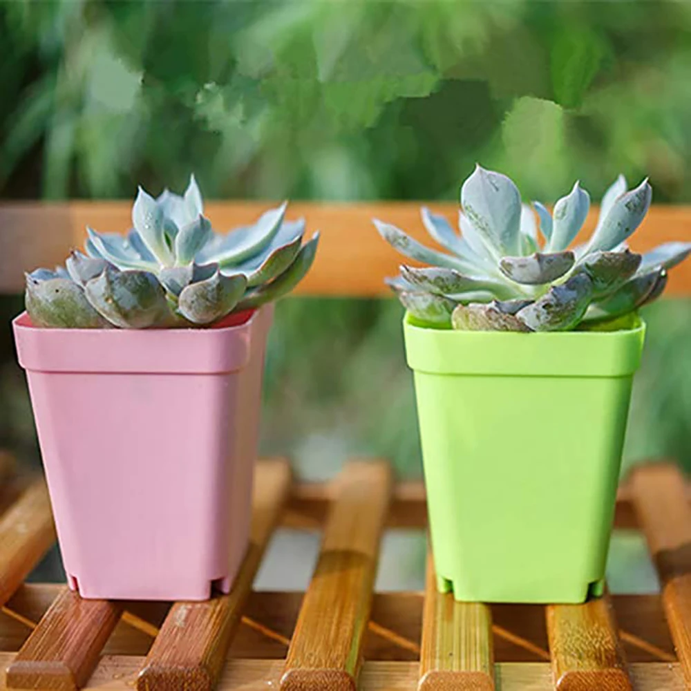 Set of 6 Colorful Mini Square Succulent Plant Pots with Trays