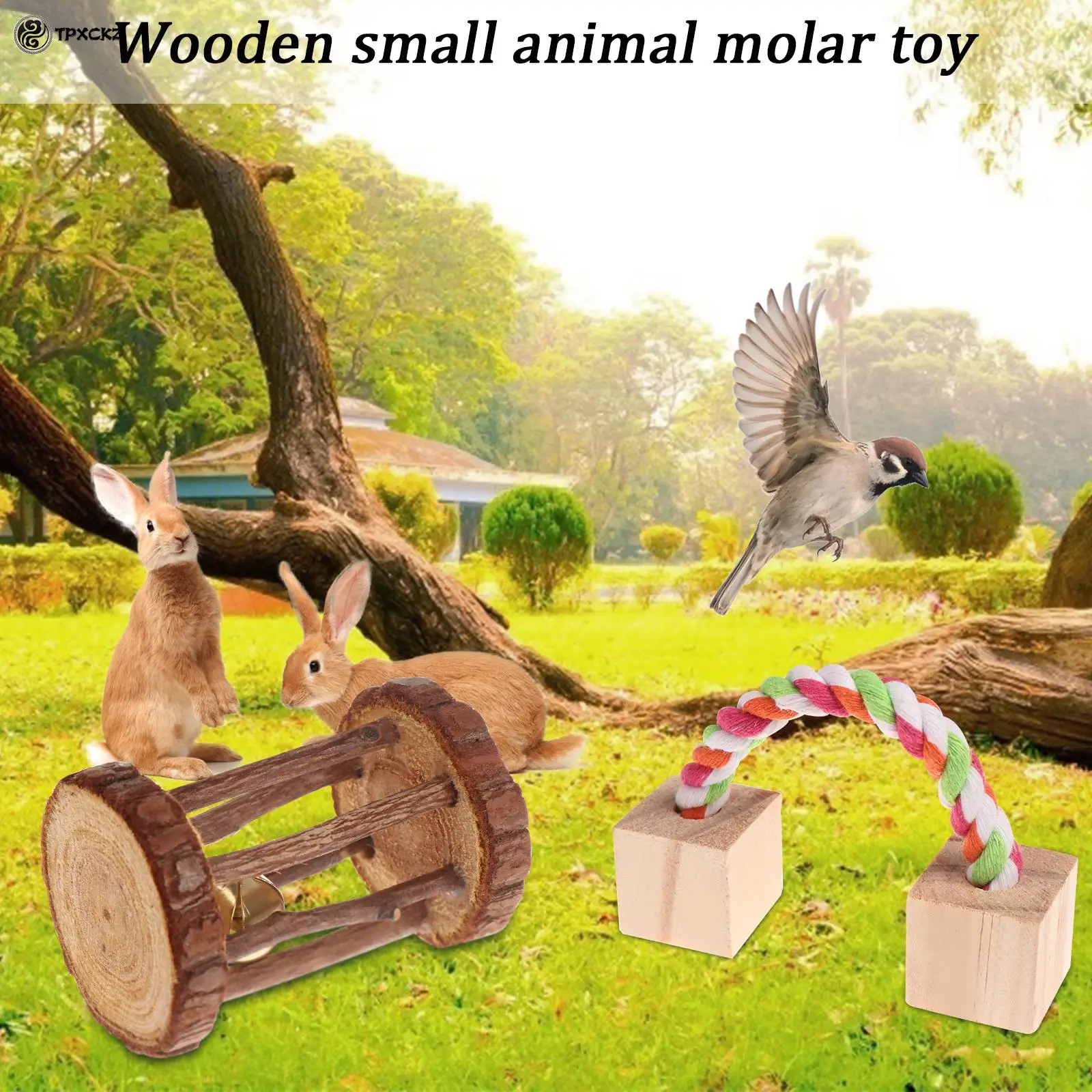 6Pcs/Set Pet Hamster Natural Wooden Chewing Toys 5