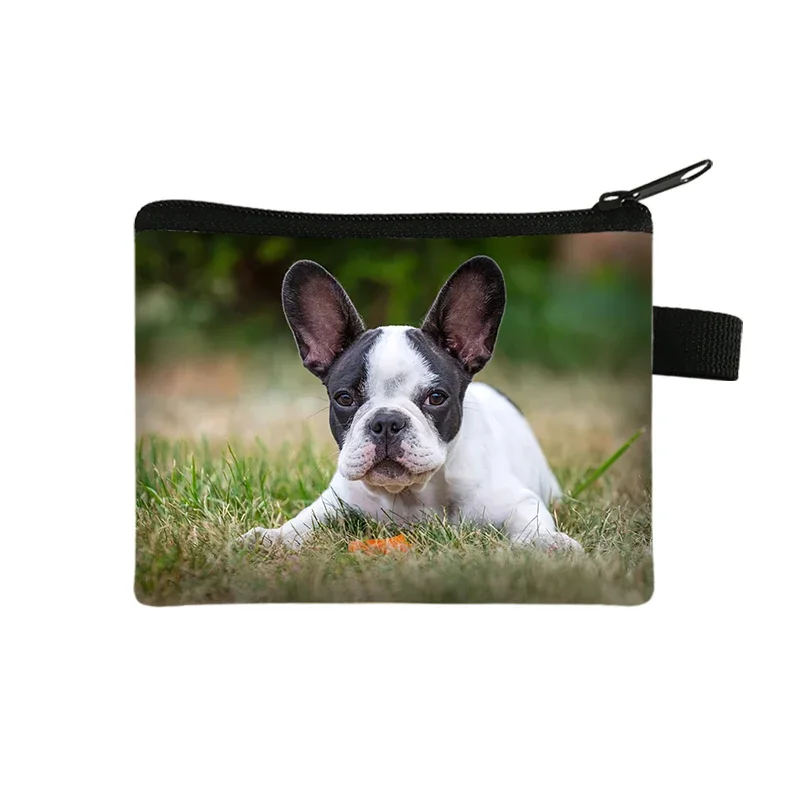 Cute Dog Beagle / Bichon Frise Print Coin Purse German Shepherd Boston Terrier Dog Wallets ID Credit Card Holder Money Coin Bag