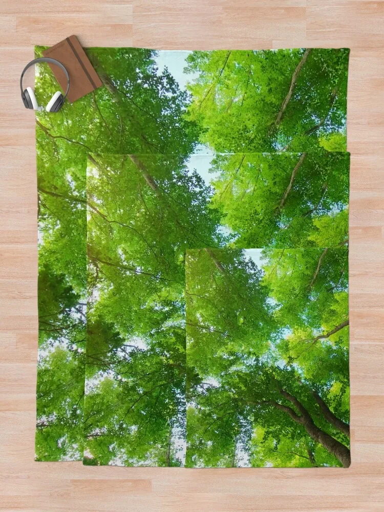 ��� �� ���� �ձ� �Ƹ��ٿ� ������ ������ ���, �̱� ħ�� ����, ���� �ε巯�� ��Ƽ�� ���