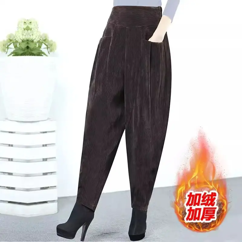 Women's Autumn and Winter New Fashion Simple Solid Color Pocket Korean Versatile Loose High Waist Plush Thick Haren Pants