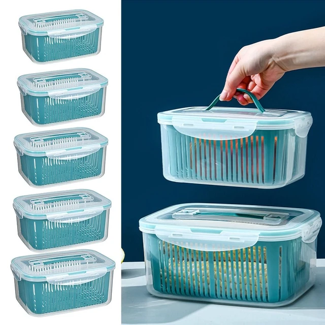 Fruit Storage Containers for Fridge - 10-Piece Kitchen Organizers Leak  Proof Produce Saver and Veggie Storage Bins Set for Refrigerator, Plastic