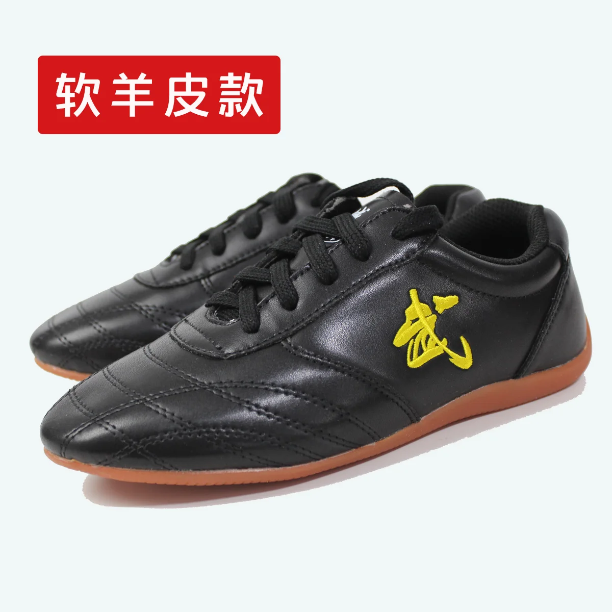 Martial Arts Shoes for Wushu Taiji