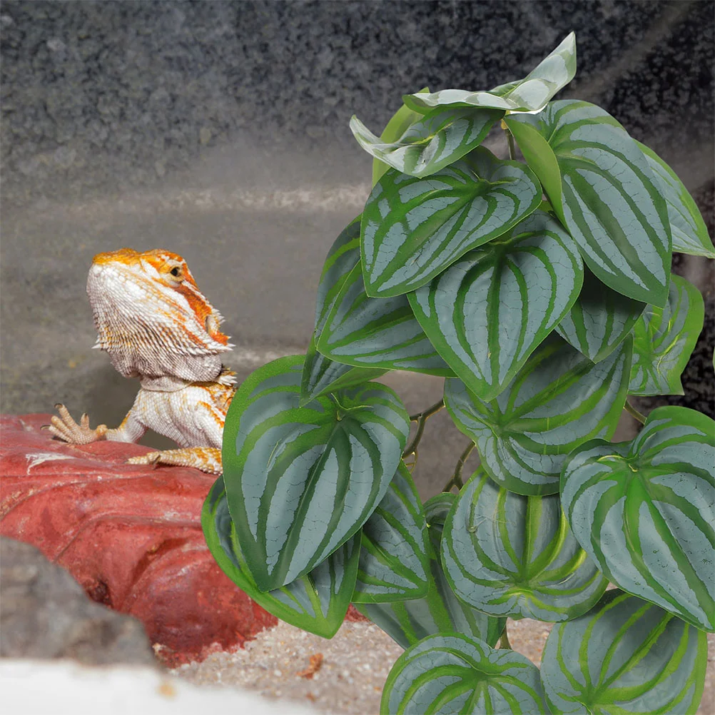 Рисунок 5 - Присоски для подвешивания растений