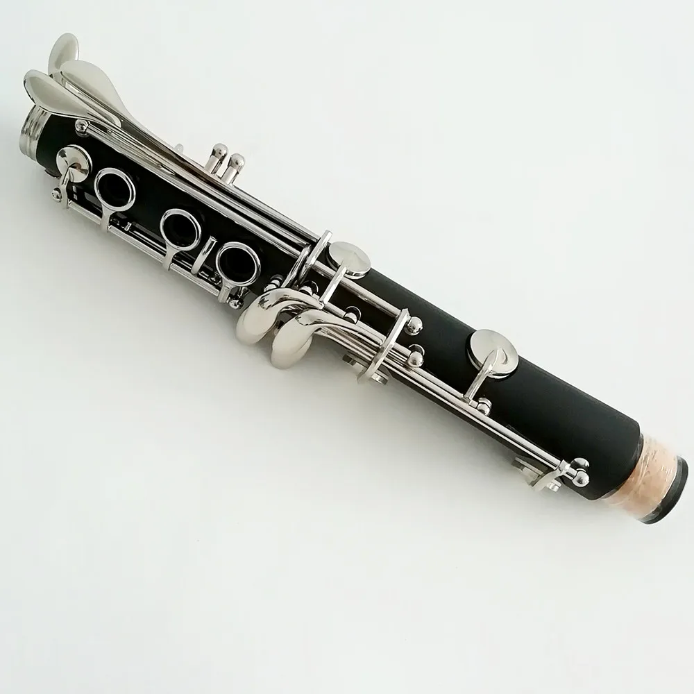 ABS 17Key Bb Clarinet instrument for sale