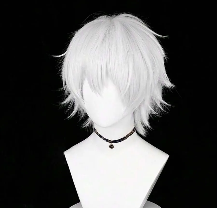 White Men Short Synthetic Straight Fluffy Wig Anime Game Cosplay Wig Heat Resistant For Daily 2