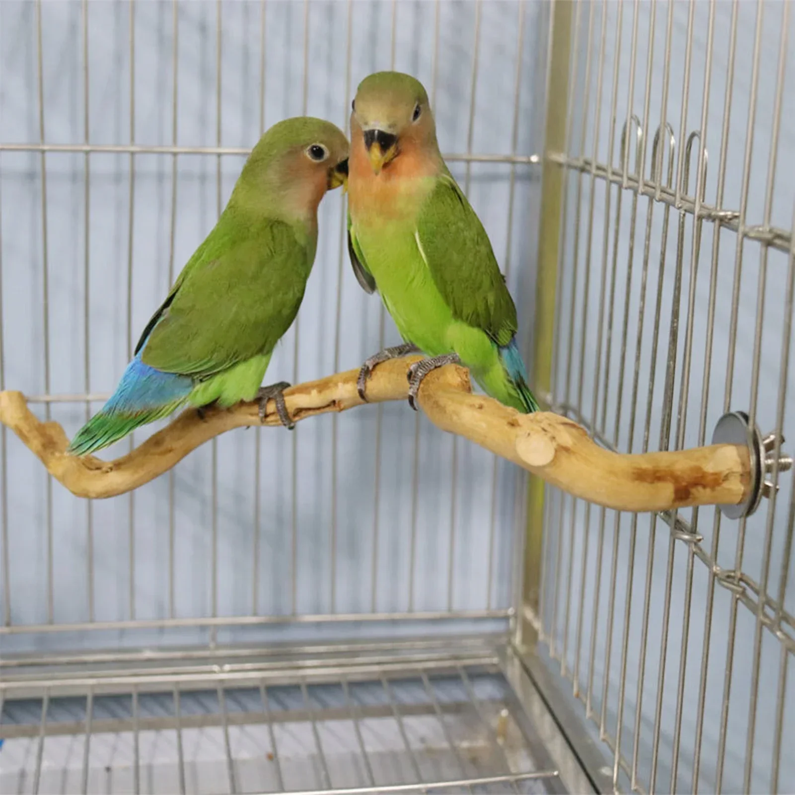 Parrot Toy Natural Parrot Perch Bird Stand Tree Stick Paw Grinding Fork Parakeet Climbing Bird Standing Branches Birdcage Accessories
