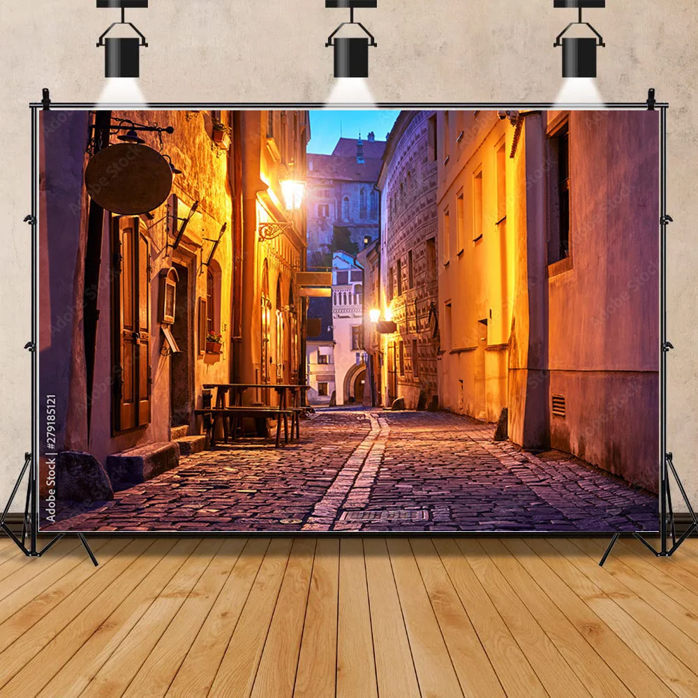 

European Street View Building Town Potted Flower Vine Alley Corridor House Scenic Photo Backdrop Photography Background PZ-03