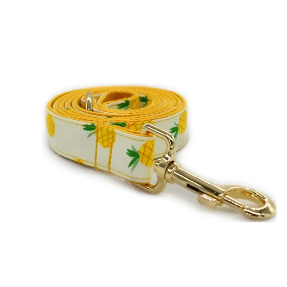 Personalized Pineapple Pet Collar Puppy Cat ID Tag dog collar dog id tag Adjustable Name Gold Buckle Orange Fruit Basic Dog Collars Leash