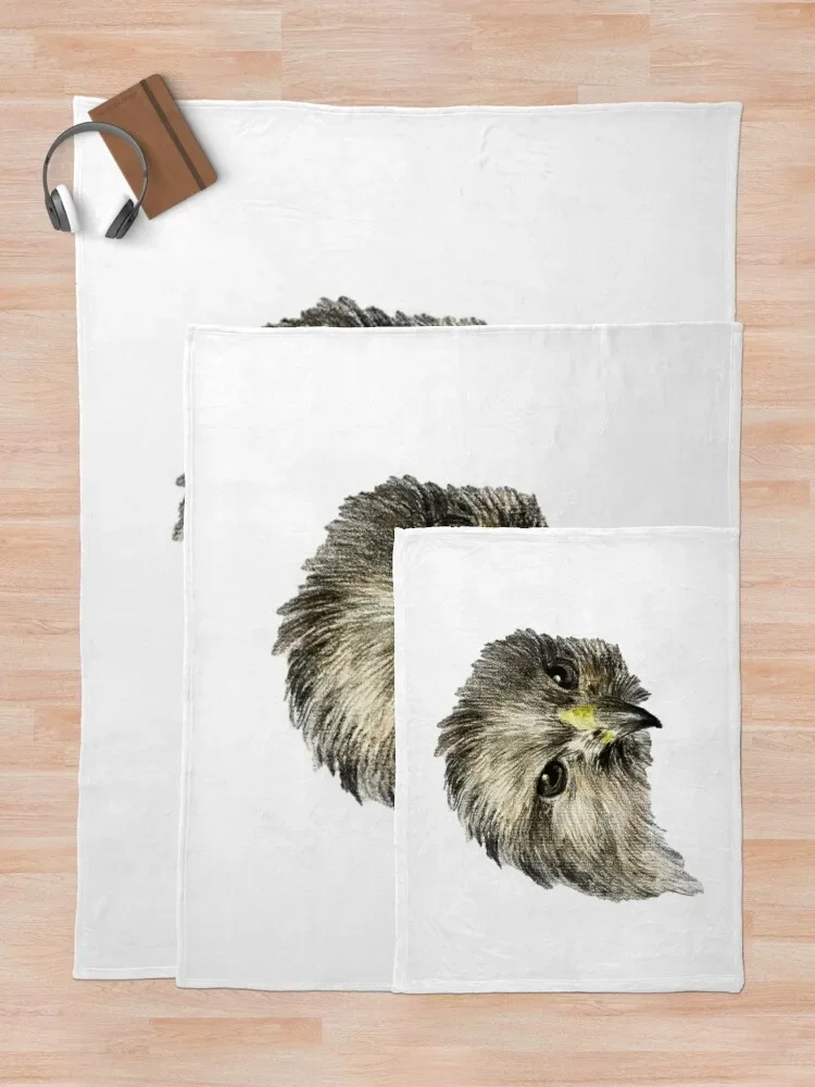 ȣũ ������ ��� ħ�� Ŀ��, ķ�� �ڽ����� �ִϸ��̼� �̱� ���