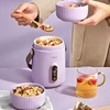 600ml Electric Kettle Stew Pot Slow Cooker Portable Cooking Pot Stewing Porridge Soup with Appointment For Home Travel 220V 1