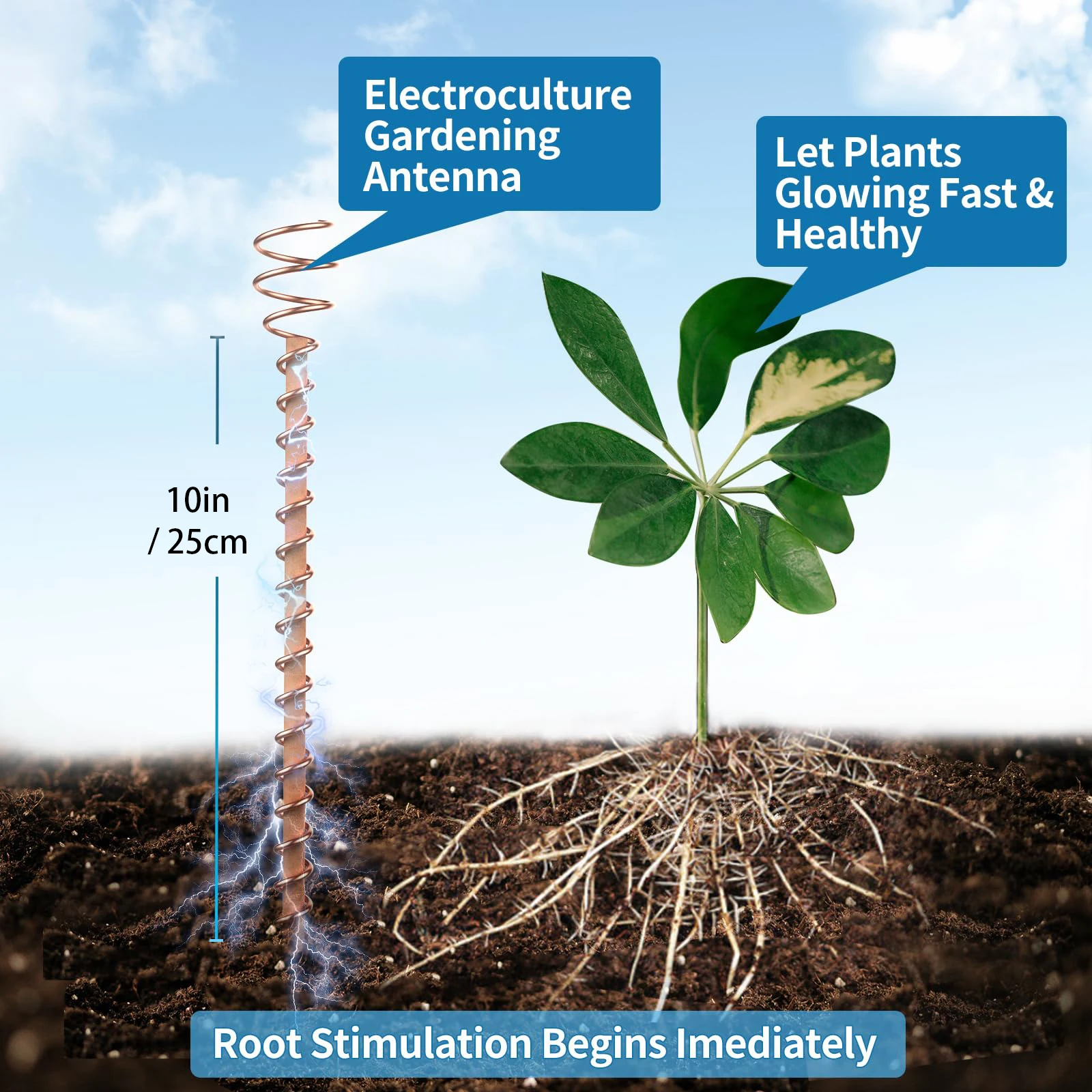 Electroculture Antenna: A Guide to Everything You Need to Know