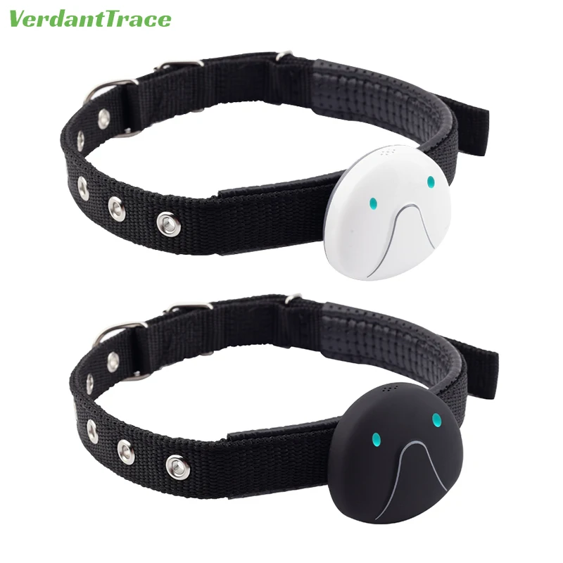 2G 4G Pet GPS Tracker Electronic Fence Mileage Statistics Water-Resistant Smart Locator Remote Intercom Track Playback Cat Dog