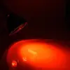 220V 25/50/75W UVA+UVB Reptile Lamp Bulb Turtle Basking UV Light Bulbs Heating Lamp Amphibians Lizards Temperature Controller 5