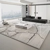Large Area Rugs for Bedroom Thick Washable Lounge Floor Mat Fluffy Soft Cloakroom Rug Modern Style Living Room Decoration Carpet 1