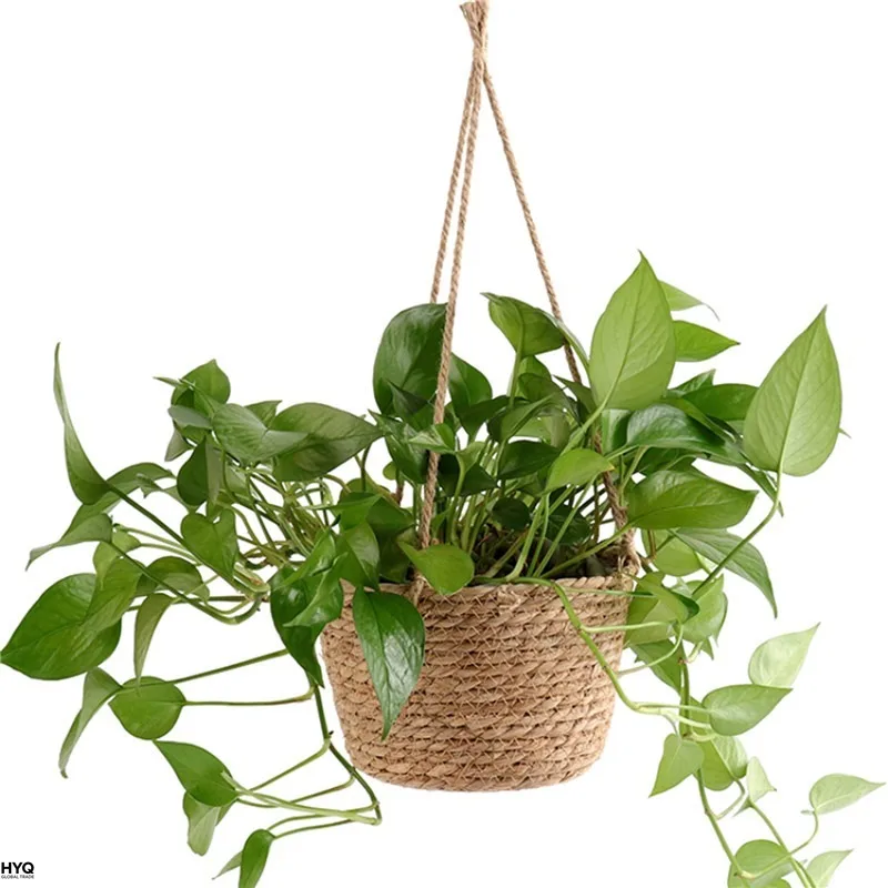 Macrame Hanging Plant Holder 6