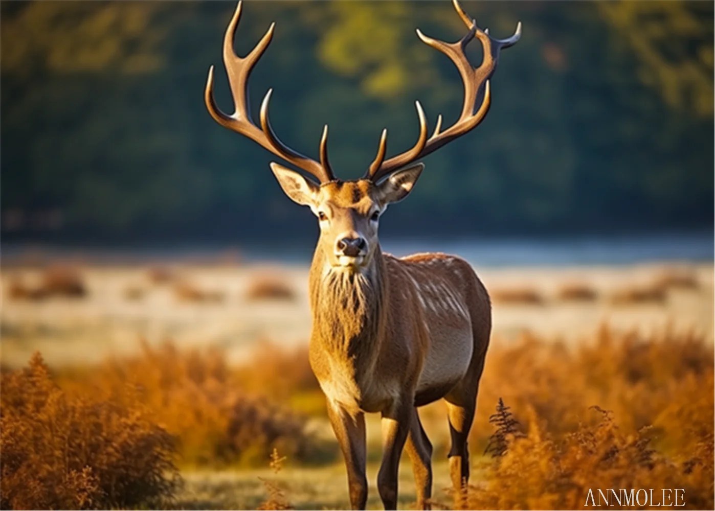 

Puzzles for adults jigsaw puzzles brown Deer in Morning Formation wooden DIY Families Toys Gift for Home