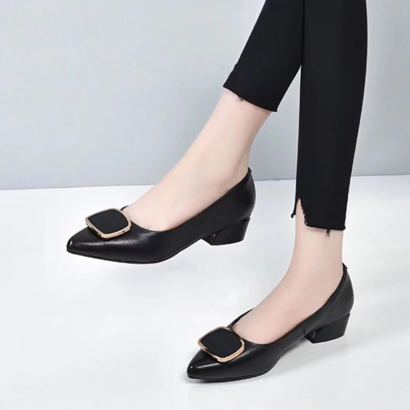 Pumps Women Shoes Chunky Heels Casual Slip on Lady Pointed Toe Square Heel Comfort Party Wedding Office Summer Women Pumps Shoes
