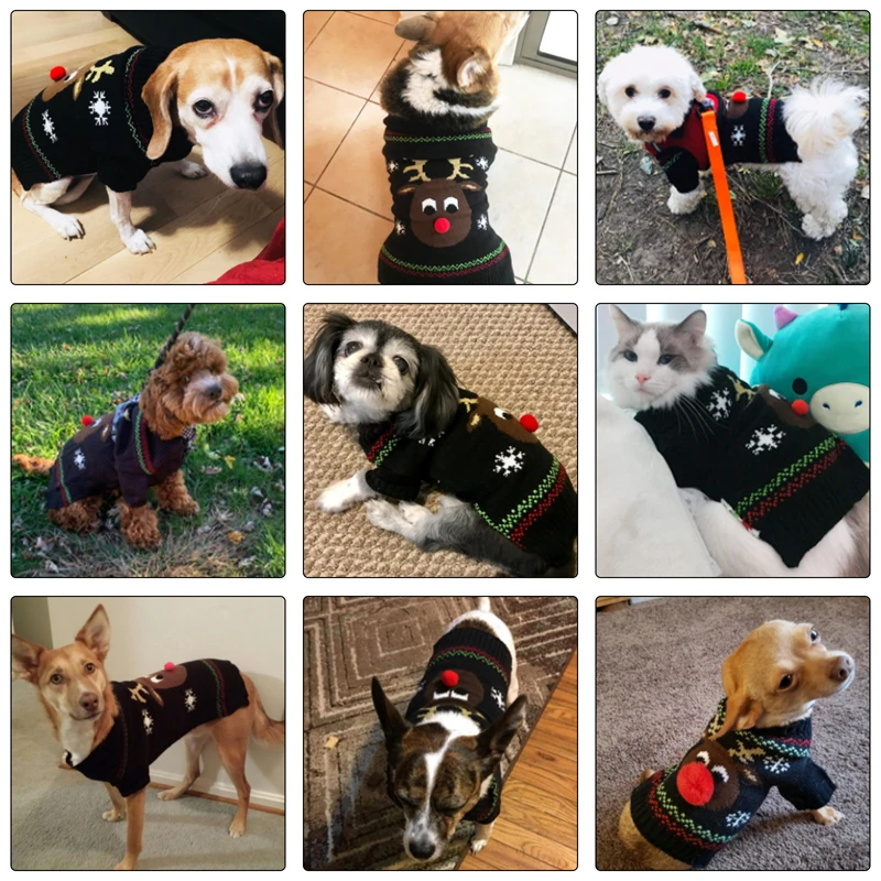 roupas de cachorro quente outono inverno natal