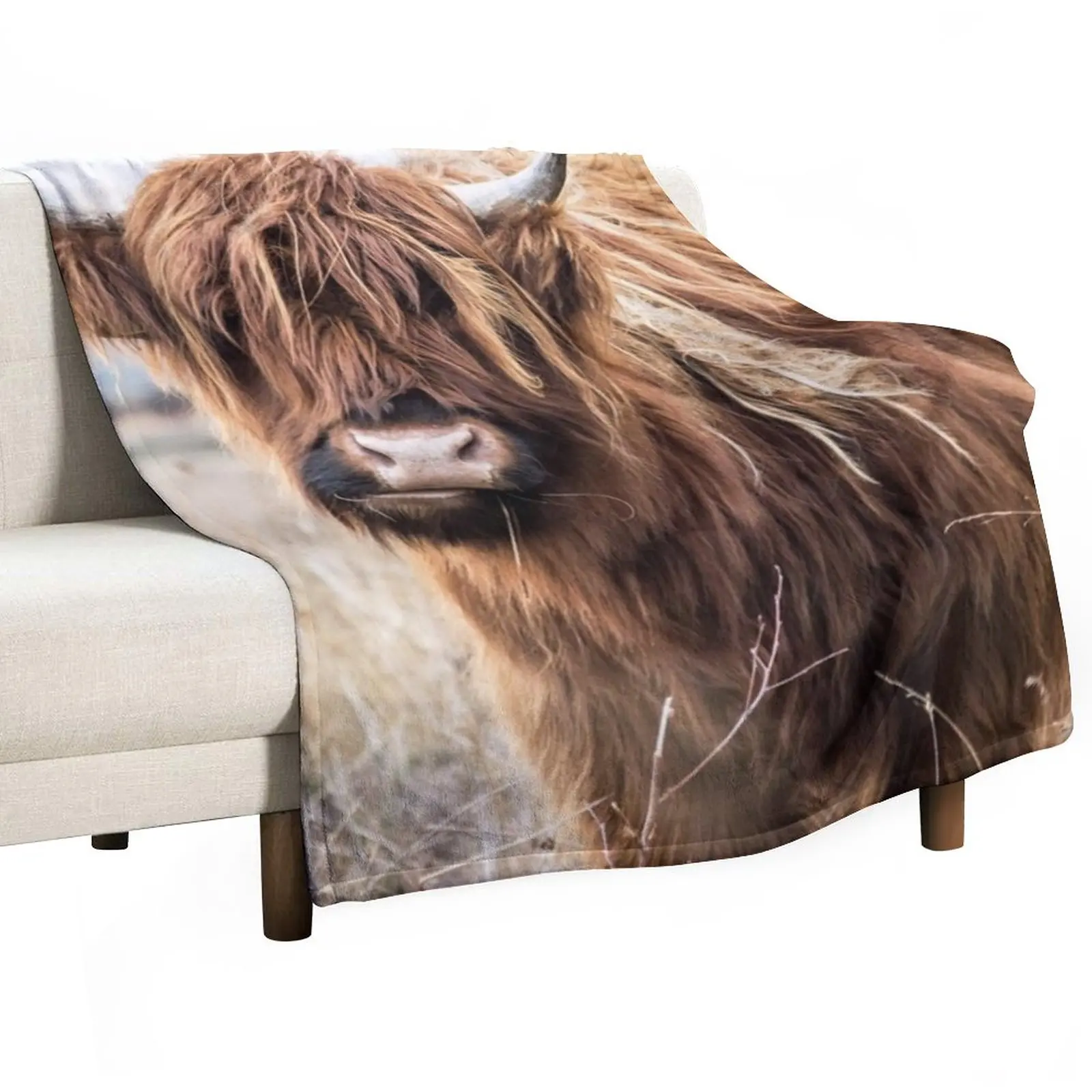 

Highland Cow Portrait Throw Blanket fluffy blanket Retro Blankets Polar blanket