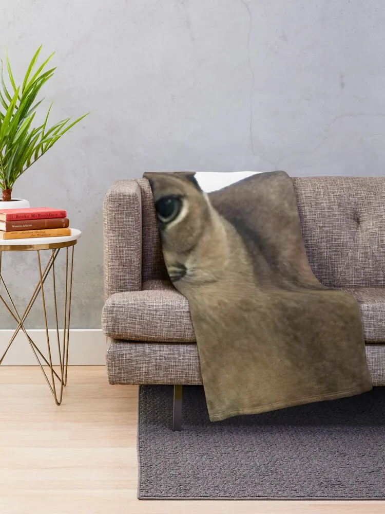 ū �÷��� ��� ���� ���